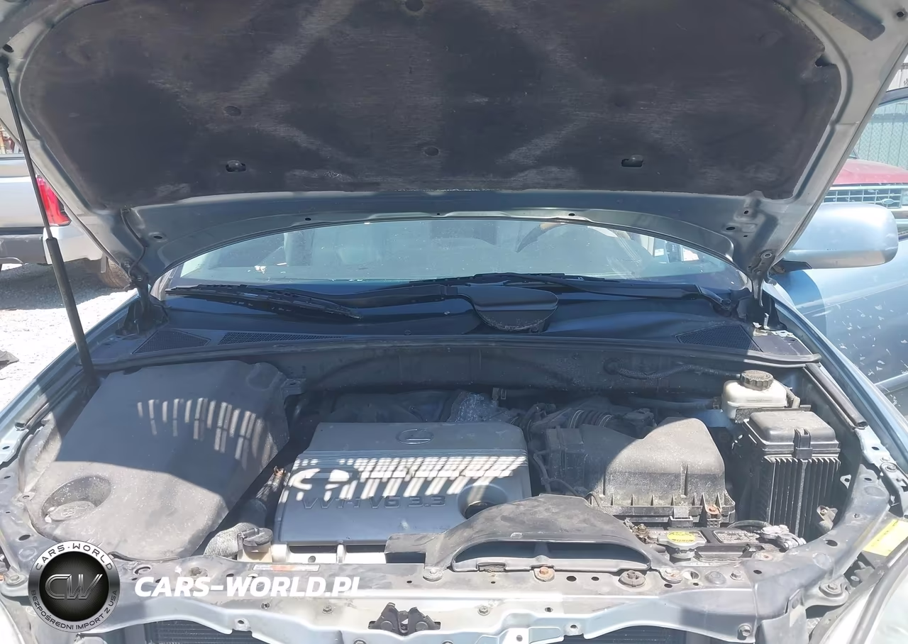 2004 Lexus Rx 330 VIN:2T2HA31U74C036665 - 10