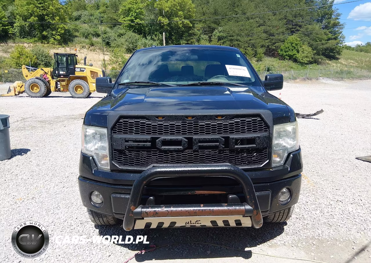 2013 Ford F-150 Stx VIN:1FTFX1EF9DKE38258 - 13