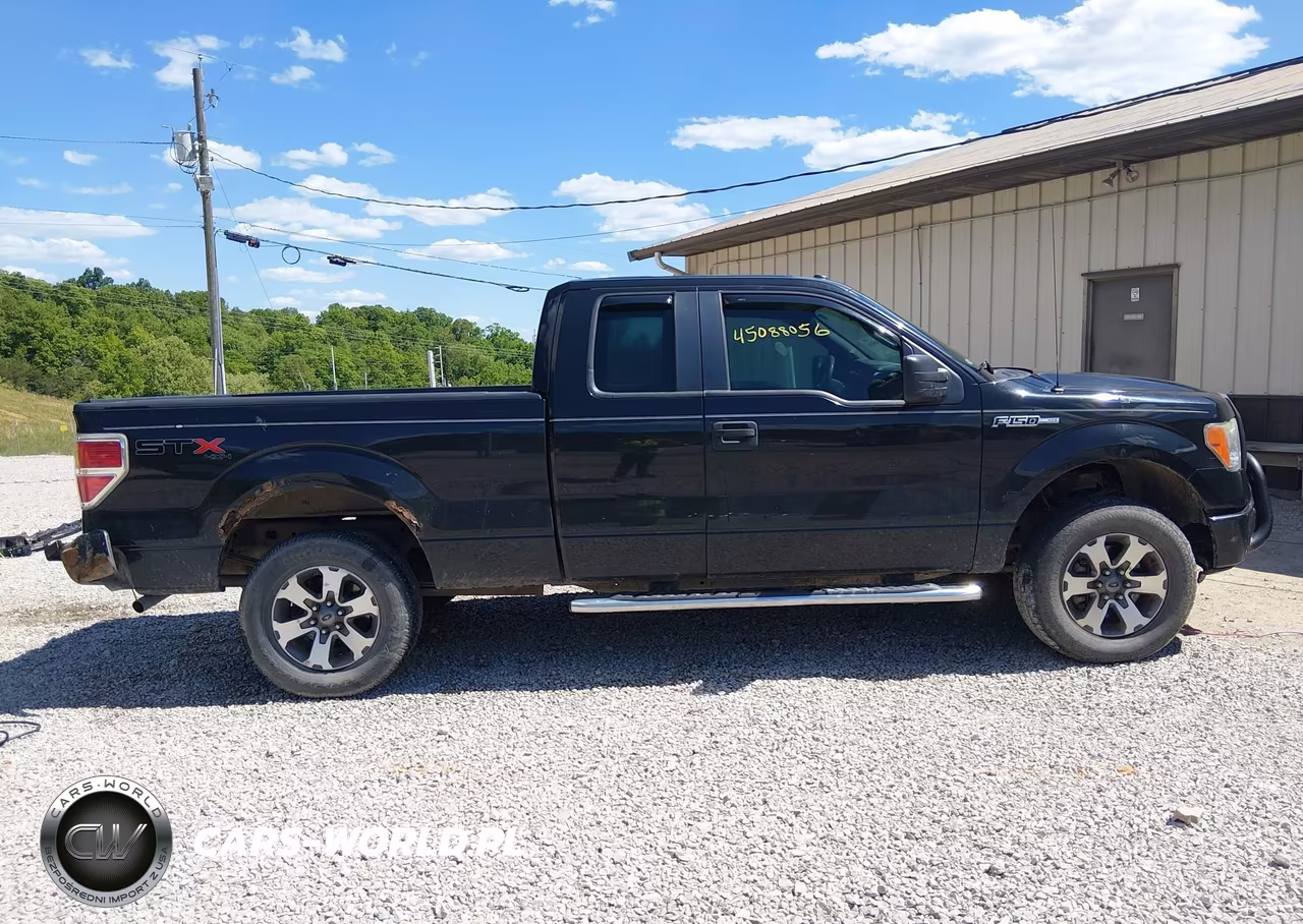 2013 Ford F-150 Stx VIN:1FTFX1EF9DKE38258 - 14