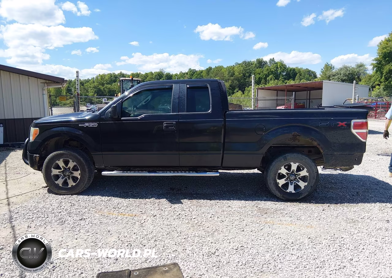 2013 Ford F-150 Stx VIN:1FTFX1EF9DKE38258 - 15
