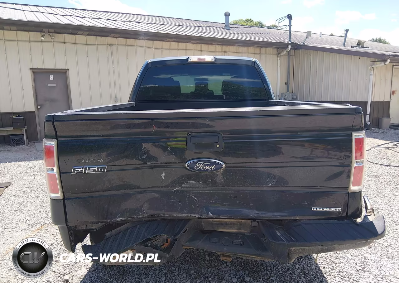 2013 Ford F-150 Stx VIN:1FTFX1EF9DKE38258 - 17