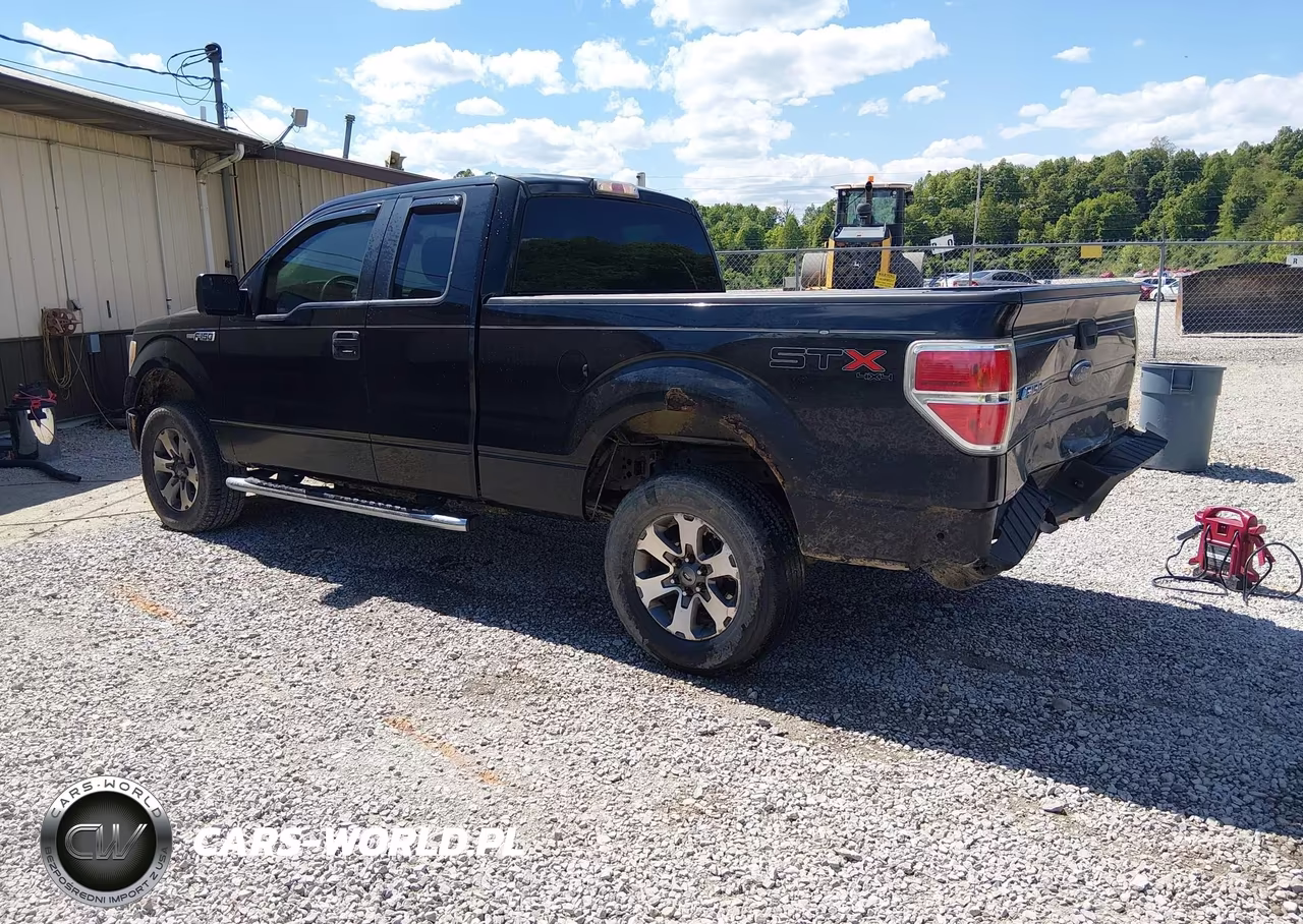 2013 Ford F-150 Stx VIN:1FTFX1EF9DKE38258 - 3
