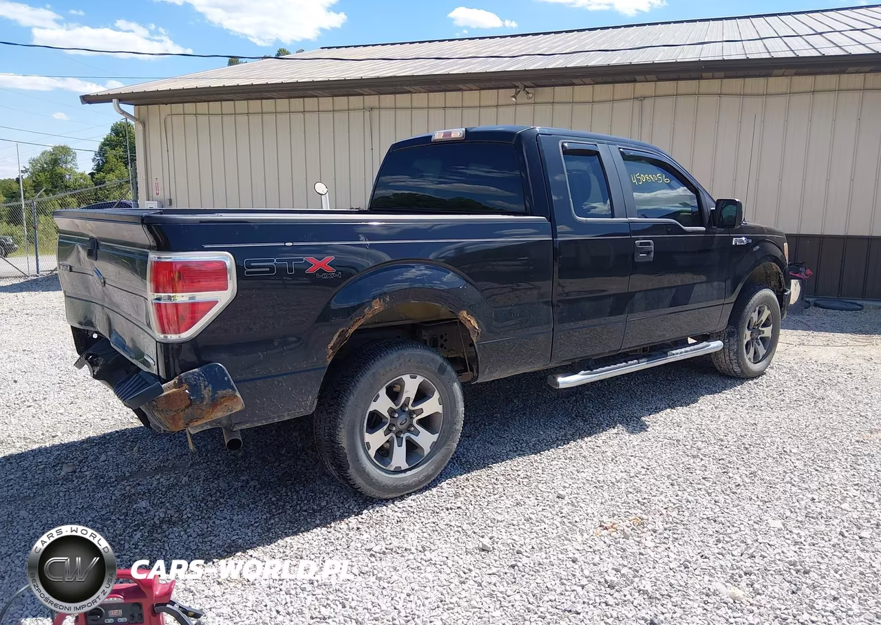 2013 Ford F-150 Stx VIN:1FTFX1EF9DKE38258 - 4