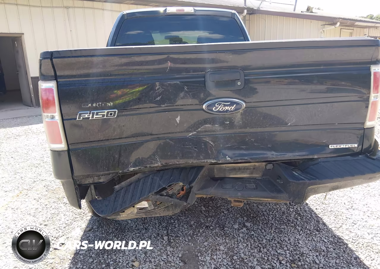 2013 Ford F-150 Stx VIN:1FTFX1EF9DKE38258 - 6
