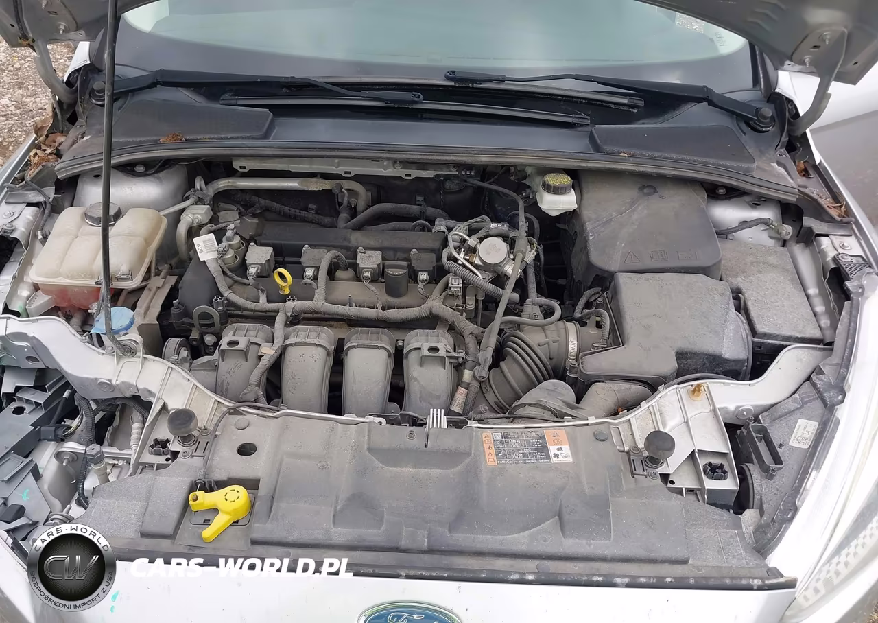 2017 Ford Focus S VIN:1FADP3E21HL342372 - 10