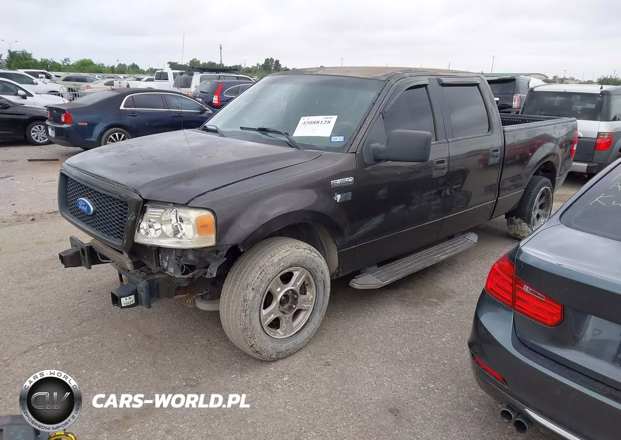2006 Ford F-150 Xlt VIN:1FTRW12W96FB49073 - 2