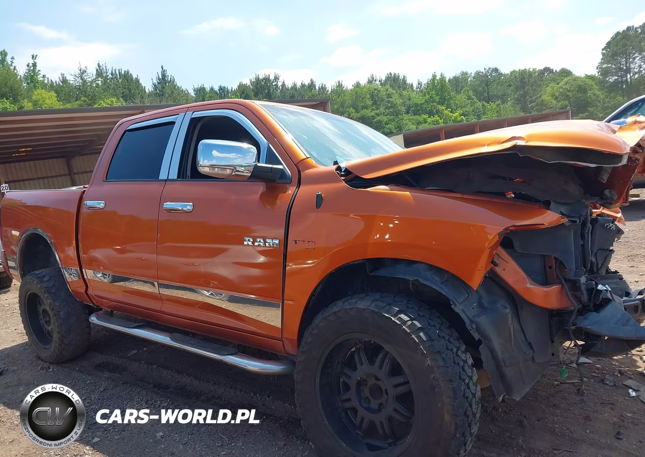 2010 Dodge Ram 1500 Slt-Sport-Trx VIN:1D7RB1CTXAS179818 - 14