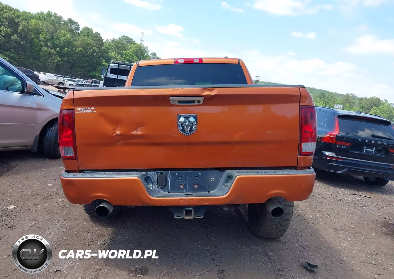2010 Dodge Ram 1500 Slt-Sport-Trx VIN:1D7RB1CTXAS179818 - 17