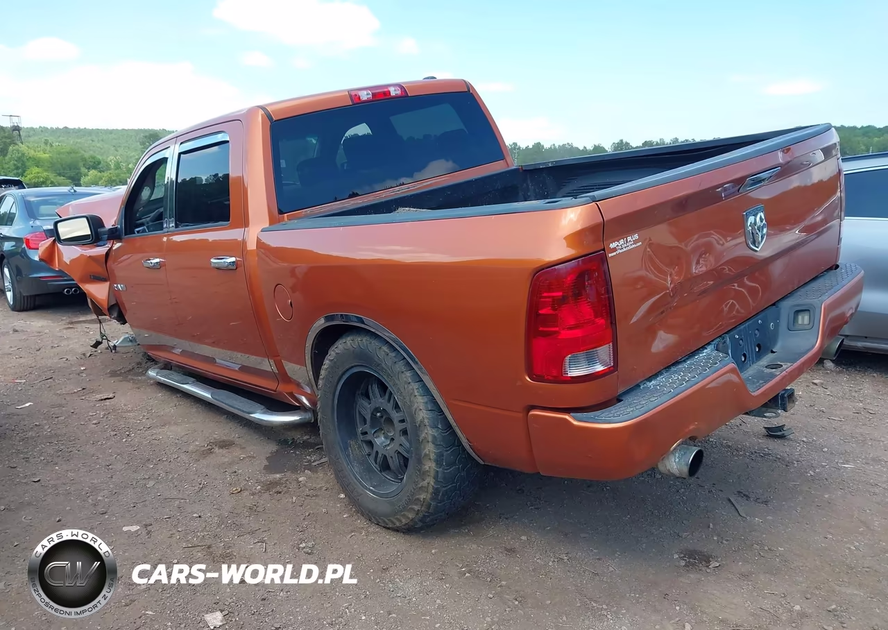 2010 Dodge Ram 1500 Slt-Sport-Trx VIN:1D7RB1CTXAS179818 - 3