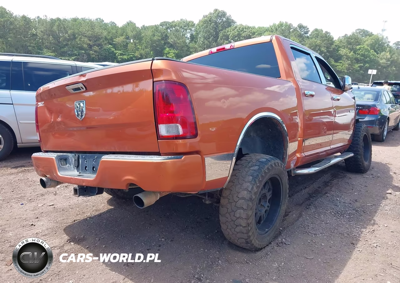 2010 Dodge Ram 1500 Slt-Sport-Trx VIN:1D7RB1CTXAS179818 - 4