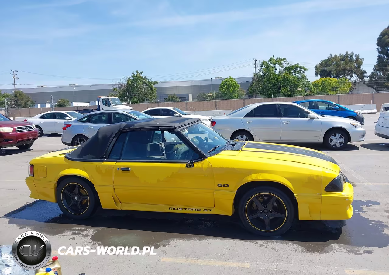 1989 Ford Mustang Gt-Cobra Gt VIN:1FABP45E8KF179667 - 13