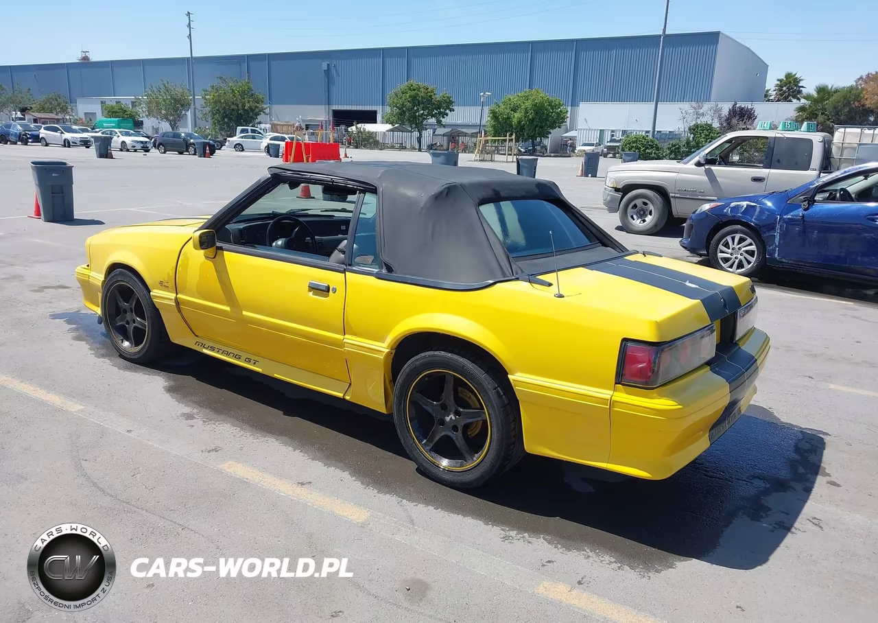 1989 Ford Mustang Gt-Cobra Gt VIN:1FABP45E8KF179667 - 3