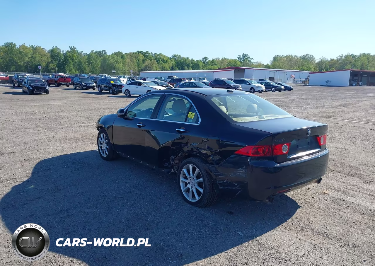2005 Acura Tsx VIN:JH4CL96845C031102 - 3