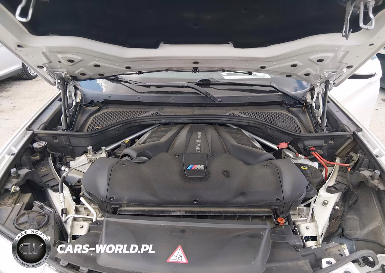 2017 BMW X6 M VIN:5YMKW8C31H0U71928 - 10