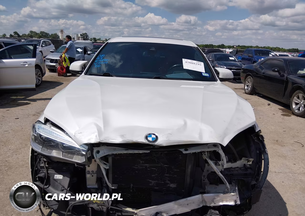 2017 BMW X6 M VIN:5YMKW8C31H0U71928 - 12