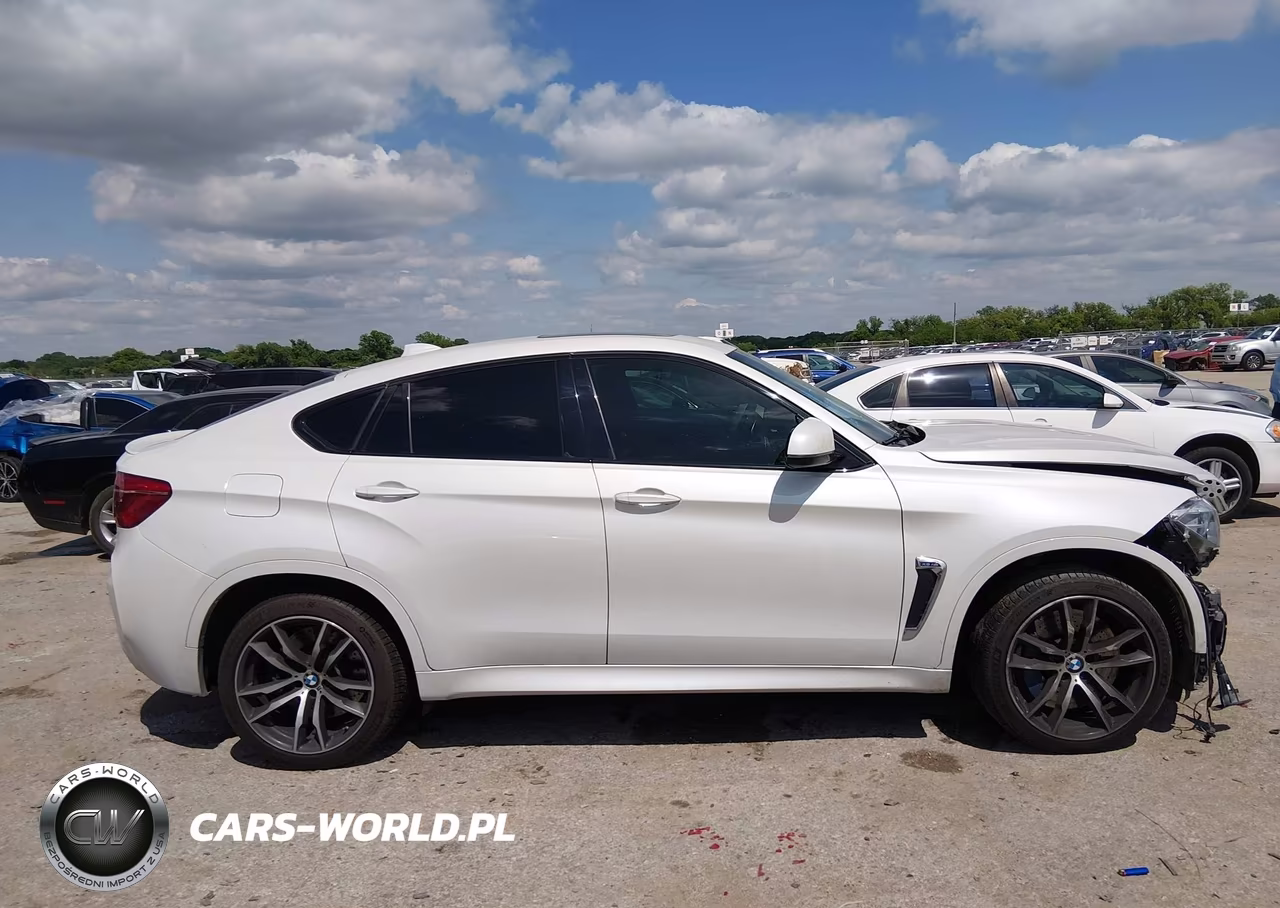 2017 BMW X6 M VIN:5YMKW8C31H0U71928 - 13