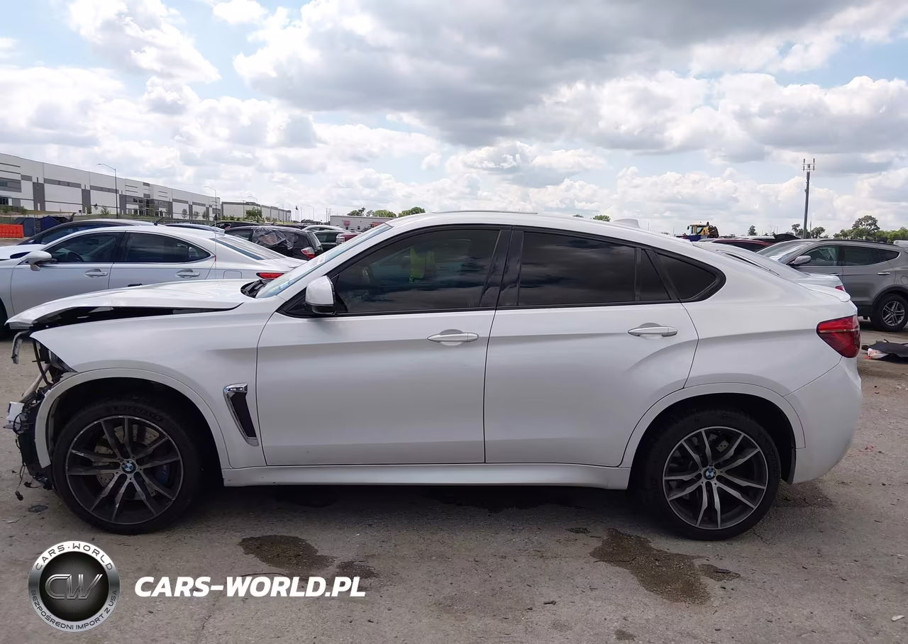 2017 BMW X6 M VIN:5YMKW8C31H0U71928 - 14