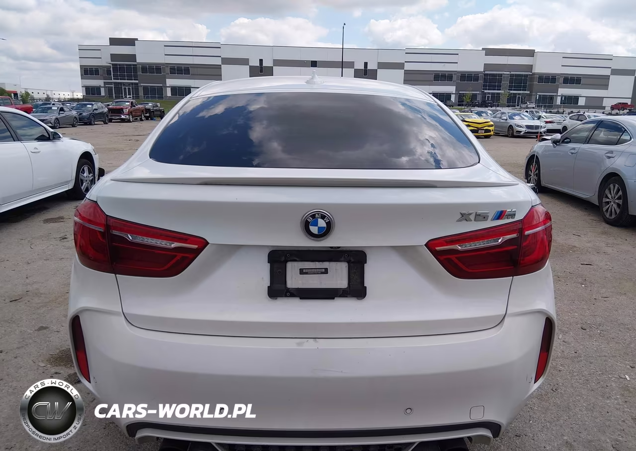 2017 BMW X6 M VIN:5YMKW8C31H0U71928 - 16