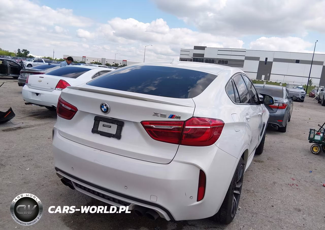 2017 BMW X6 M VIN:5YMKW8C31H0U71928 - 4