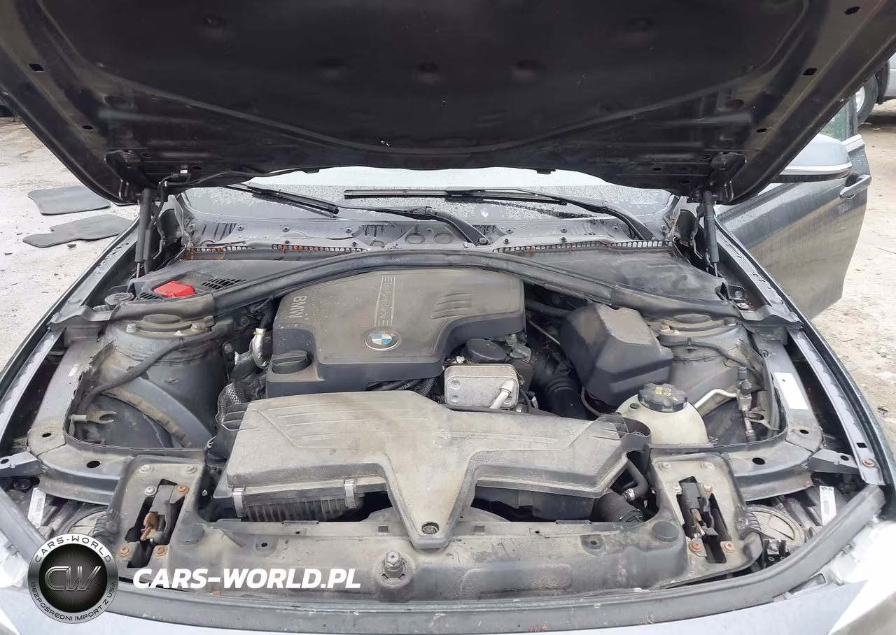 2015 BMW 320I VIN:WBA3B1C53FK163062 - 10