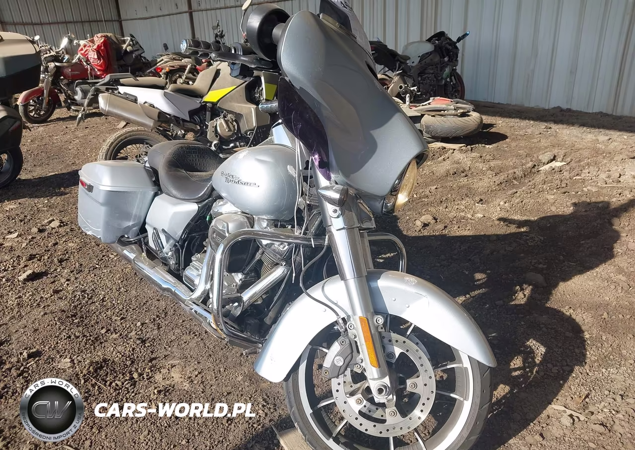 2020 Harley-Davidson Flhx