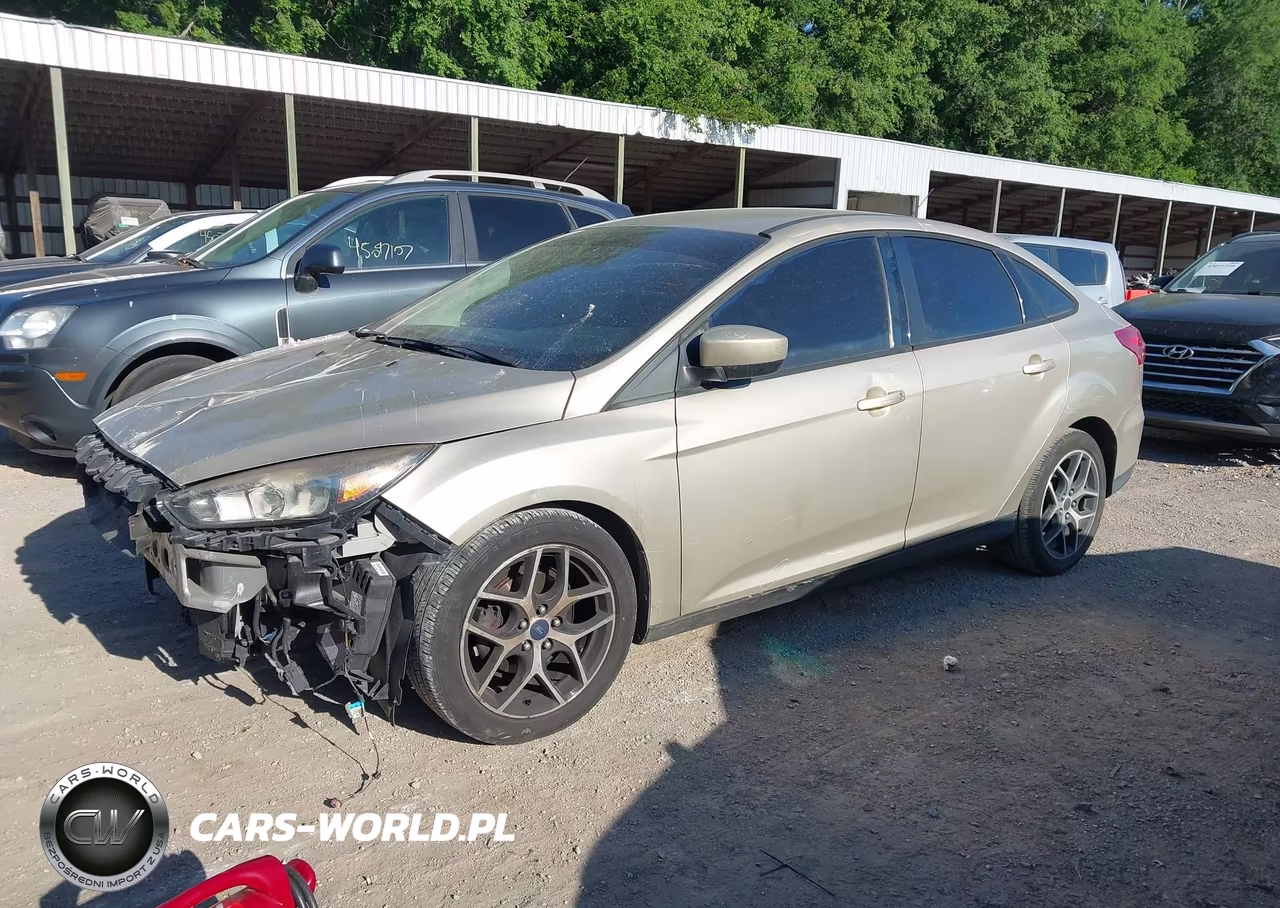 2018 Ford Focus Se VIN:1FADP3F2XJL256188 - 2