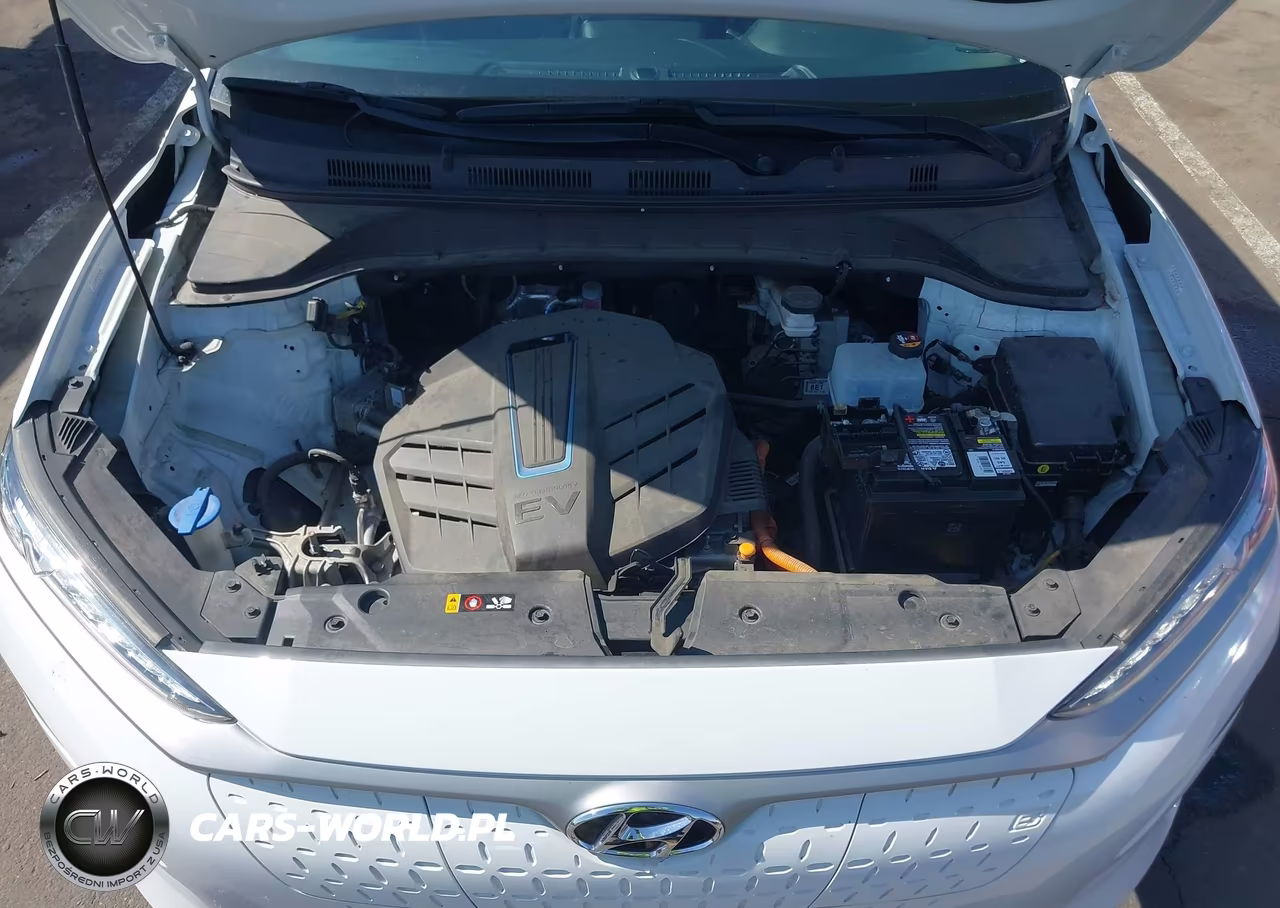 2019 Hyundai Kona Ev Limited VIN:KM8K33AG9KU053719 - 10