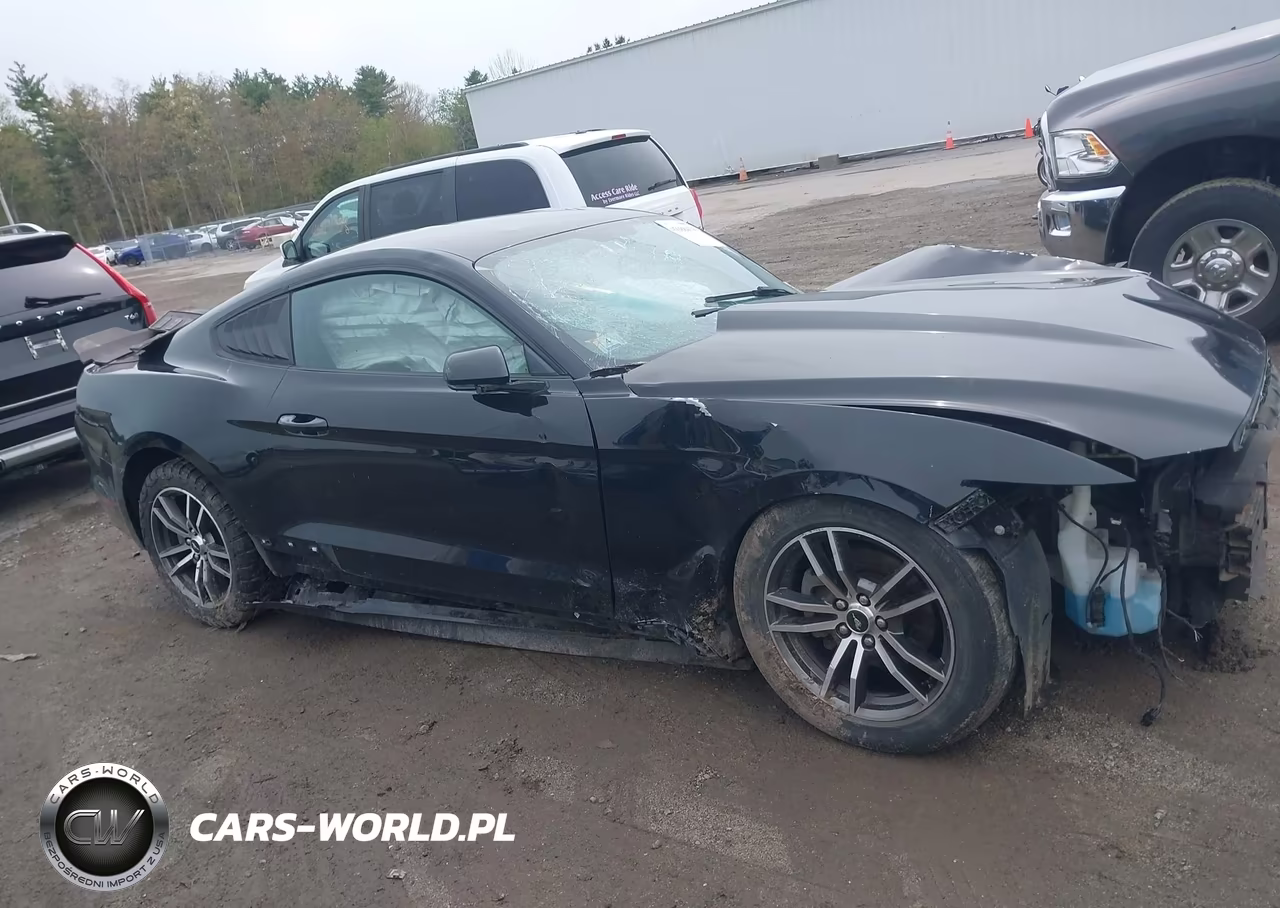 2017 Ford Mustang Ecoboost VIN:1FA6P8TH0H5304603 - 13