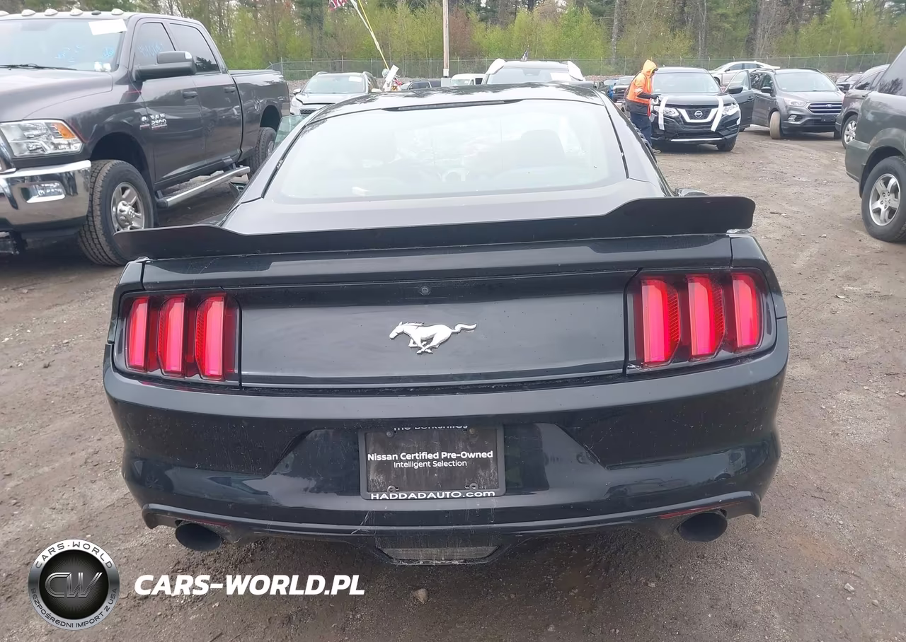 2017 Ford Mustang Ecoboost VIN:1FA6P8TH0H5304603 - 16