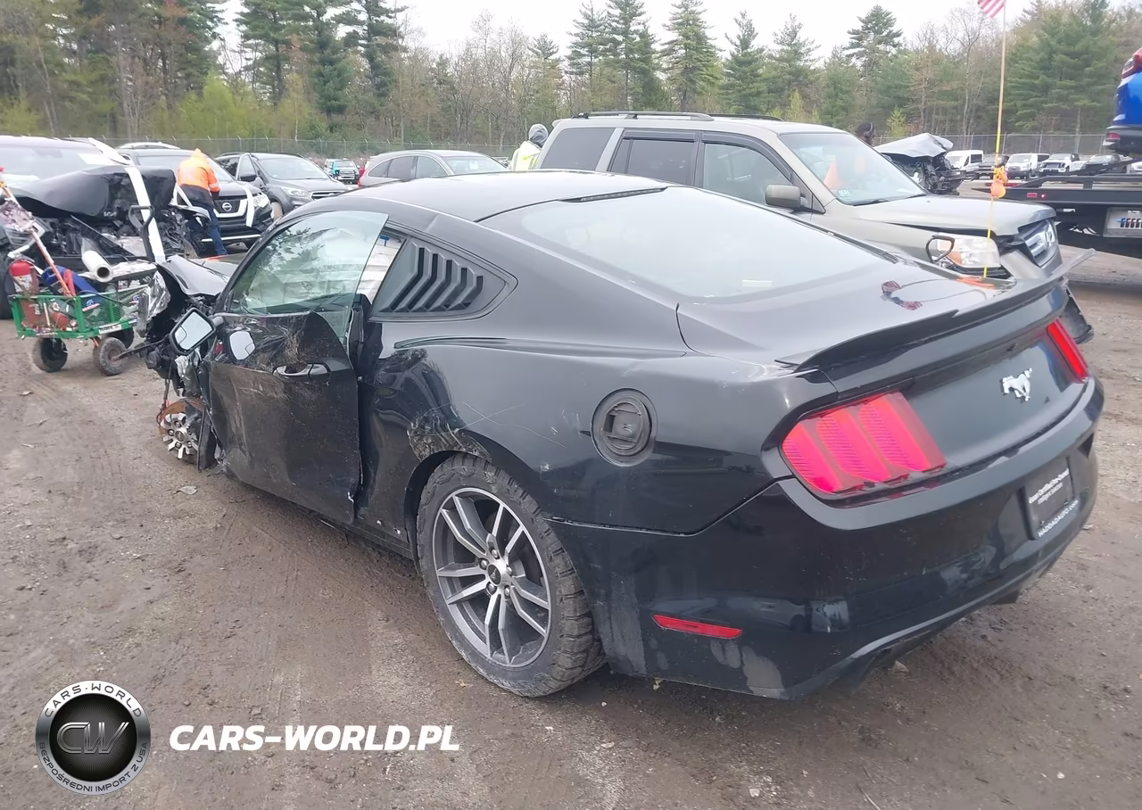 2017 Ford Mustang Ecoboost VIN:1FA6P8TH0H5304603 - 3