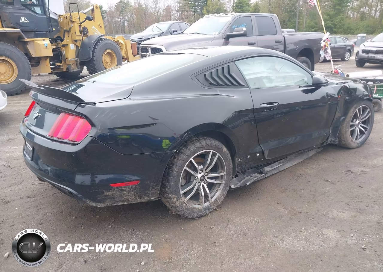 2017 Ford Mustang Ecoboost VIN:1FA6P8TH0H5304603 - 4
