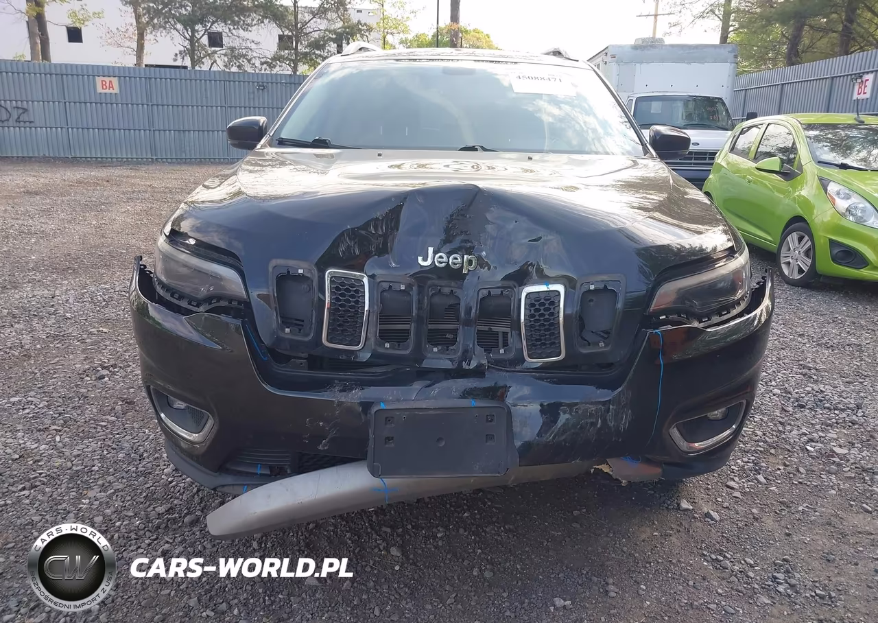 2019 Jeep Cherokee Limited 4X4 VIN:1C4PJMDN2KD189156 - 12