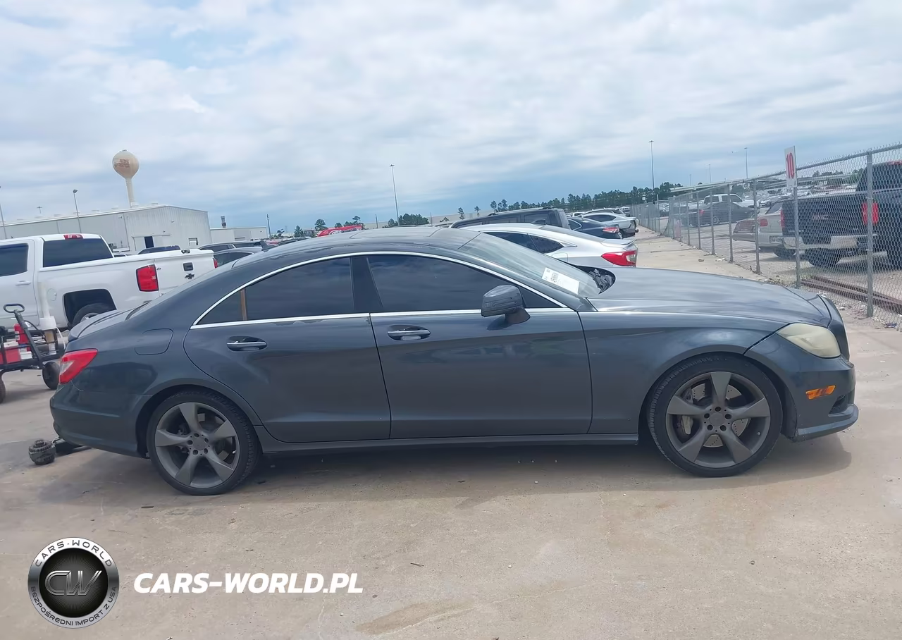 2014 Mercedes-Benz Cls 550 VIN:WDDLJ7DB0EA096010 - 13