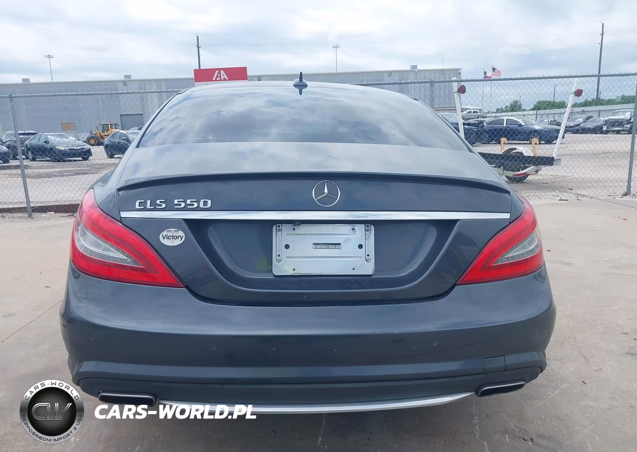 2014 Mercedes-Benz Cls 550 VIN:WDDLJ7DB0EA096010 - 16