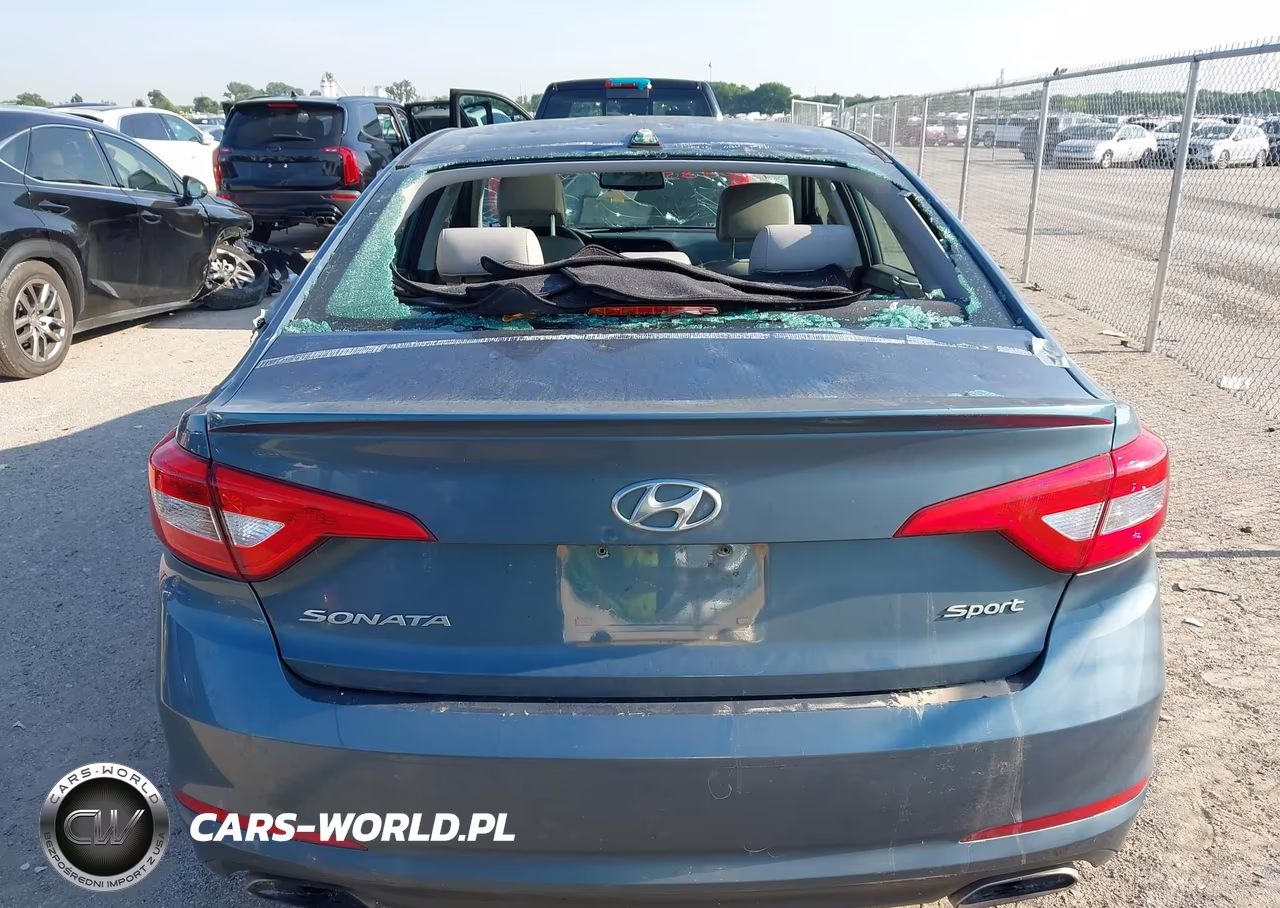 2016 Hyundai Sonata Sport VIN:5NPE34AF5GH421104 - 16