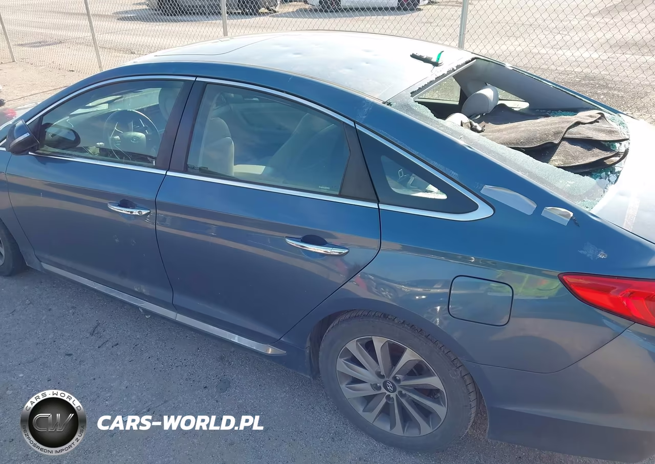 2016 Hyundai Sonata Sport VIN:5NPE34AF5GH421104 - 6