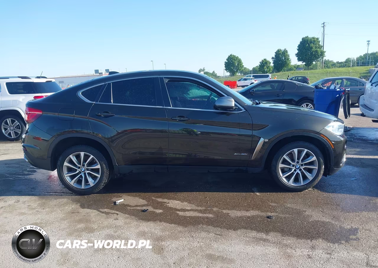 2018 BMW X6 xDrive50I VIN:5UXKU6C56J0Z66523 - 13