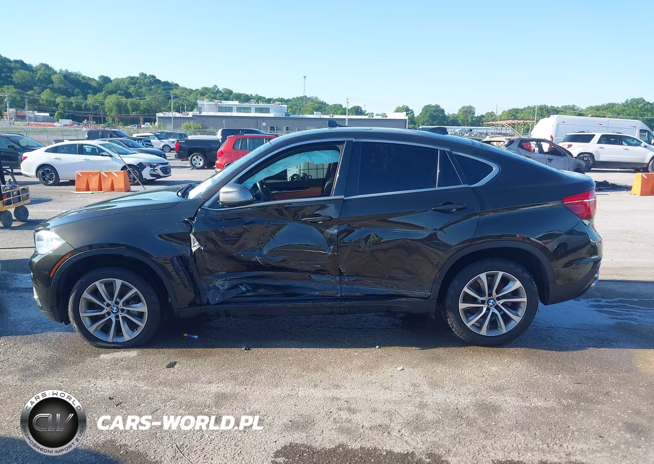 2018 BMW X6 xDrive50I VIN:5UXKU6C56J0Z66523 - 14