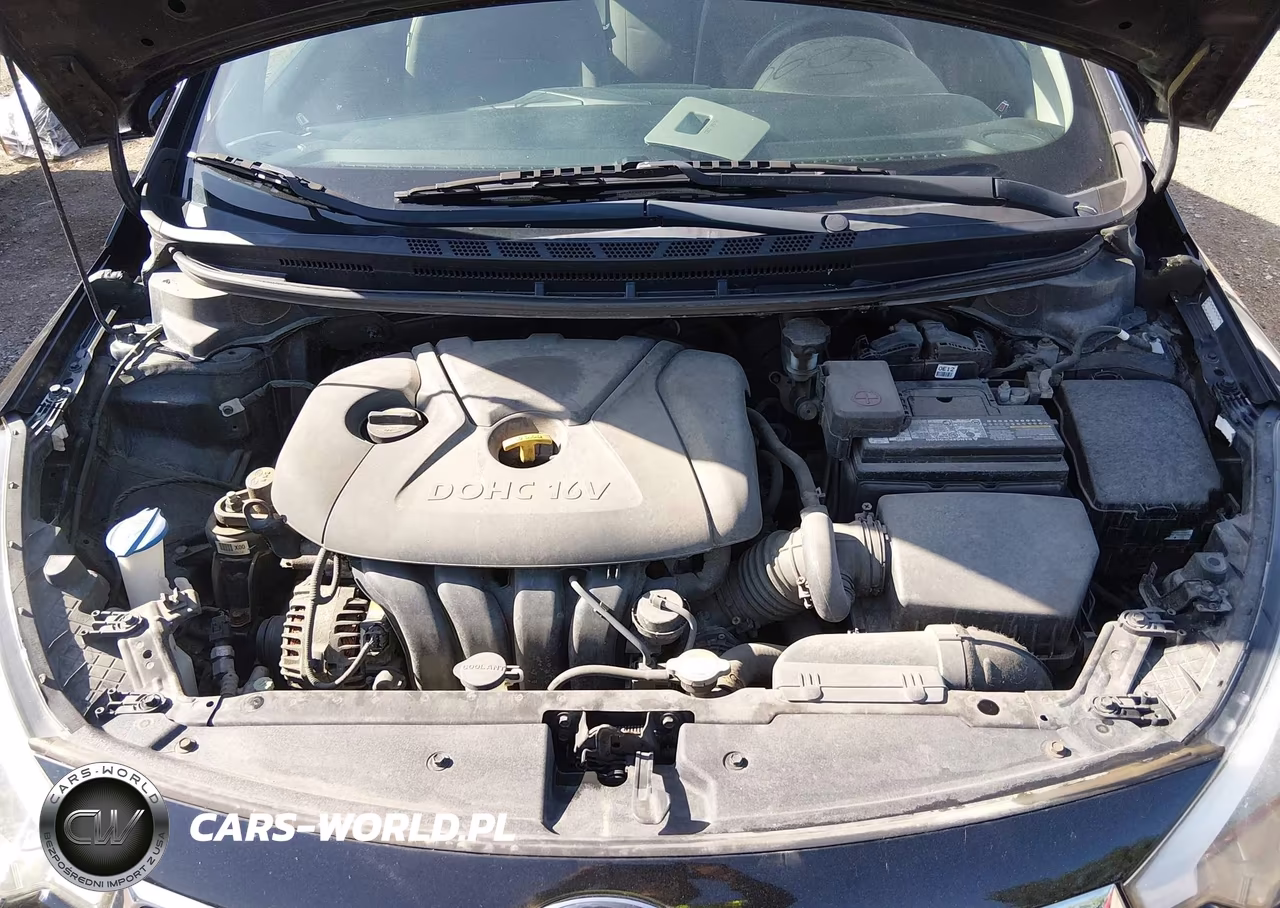 2015 Kia Forte Lx VIN:KNAFK4A64F5417564 - 10