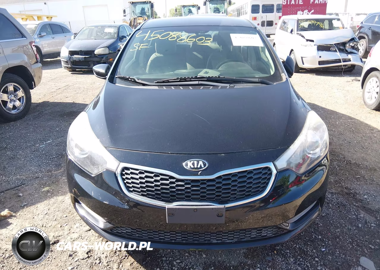 2015 Kia Forte Lx VIN:KNAFK4A64F5417564 - 12