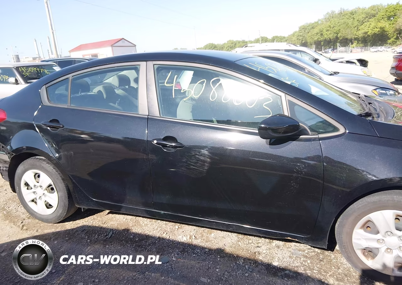 2015 Kia Forte Lx VIN:KNAFK4A64F5417564 - 13