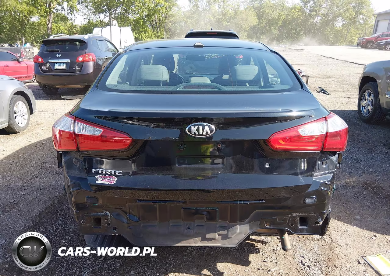 2015 Kia Forte Lx VIN:KNAFK4A64F5417564 - 16