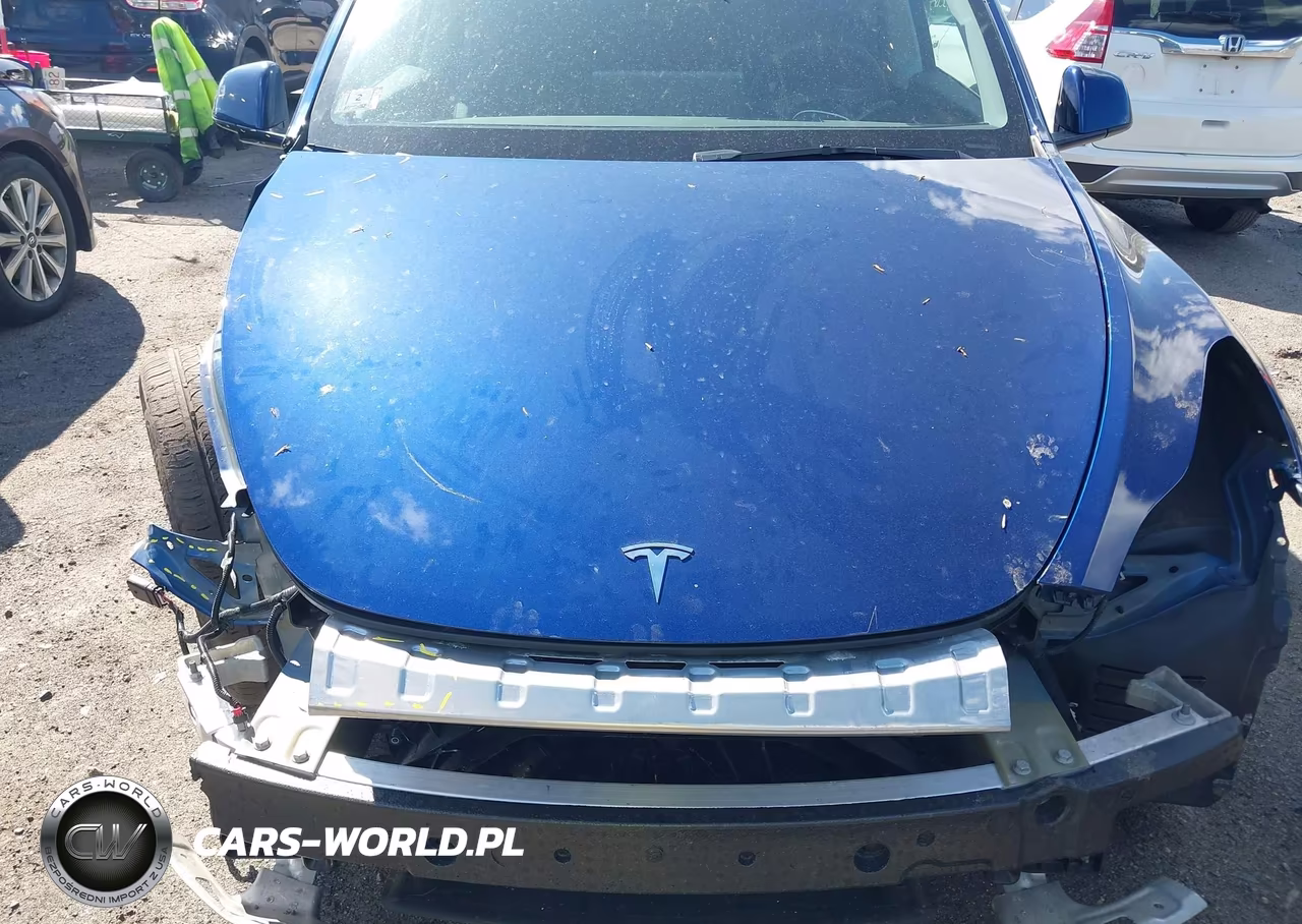 2025 Tesla Model Y Long Range Dual Motor All-Wheel Drive VIN:7SAYGDEE0SF293545 - 10