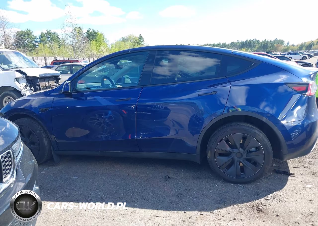 2025 Tesla Model Y Long Range Dual Motor All-Wheel Drive VIN:7SAYGDEE0SF293545 - 15
