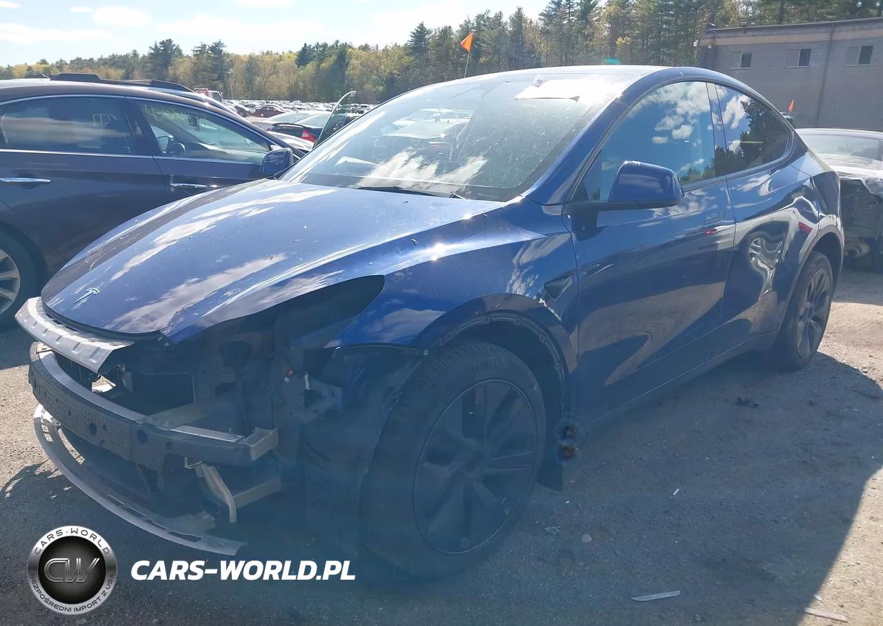 2025 Tesla Model Y Long Range Dual Motor All-Wheel Drive VIN:7SAYGDEE0SF293545 - 2