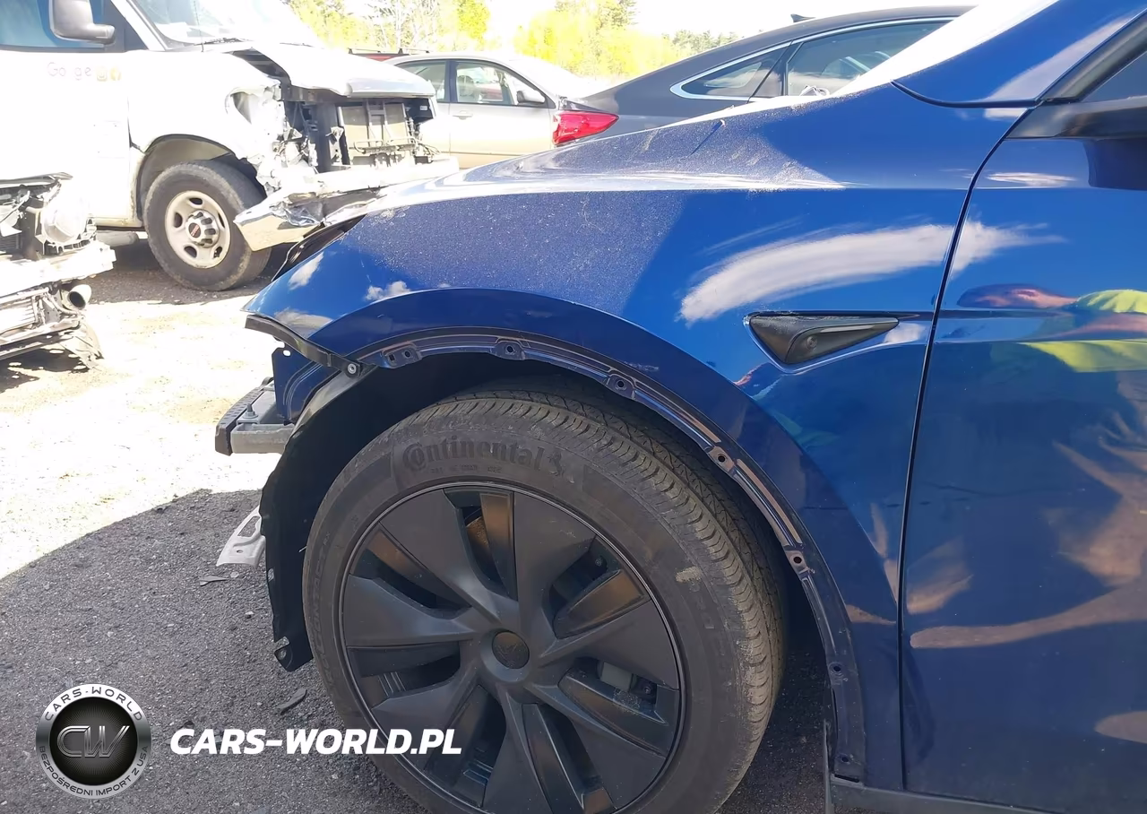 2025 Tesla Model Y Long Range Dual Motor All-Wheel Drive VIN:7SAYGDEE0SF293545 - 20