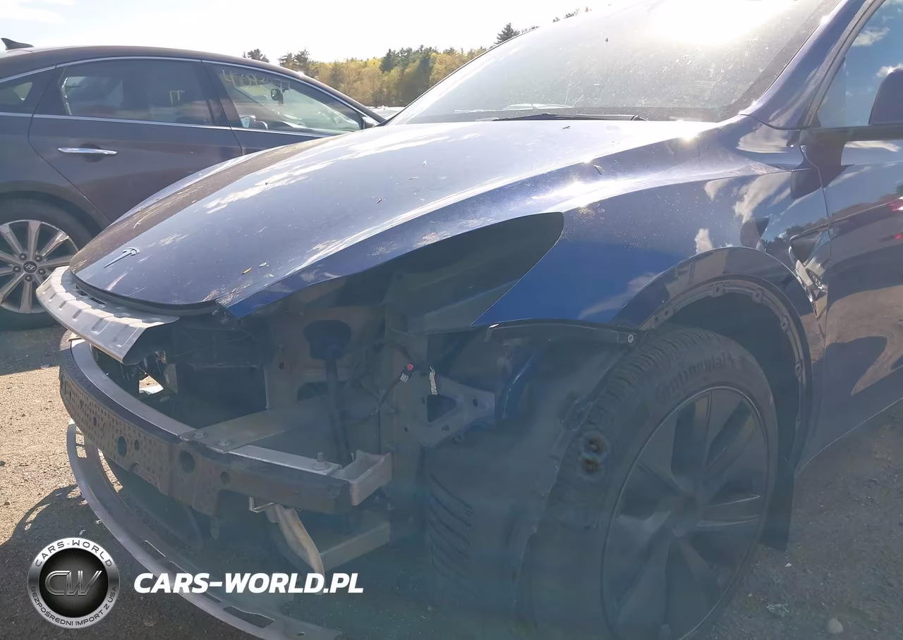 2025 Tesla Model Y Long Range Dual Motor All-Wheel Drive VIN:7SAYGDEE0SF293545 - 21