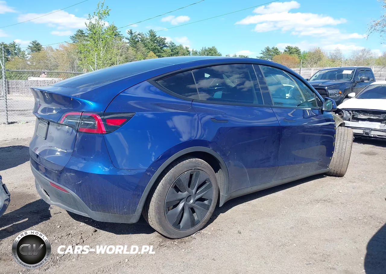 2025 Tesla Model Y Long Range Dual Motor All-Wheel Drive VIN:7SAYGDEE0SF293545 - 4