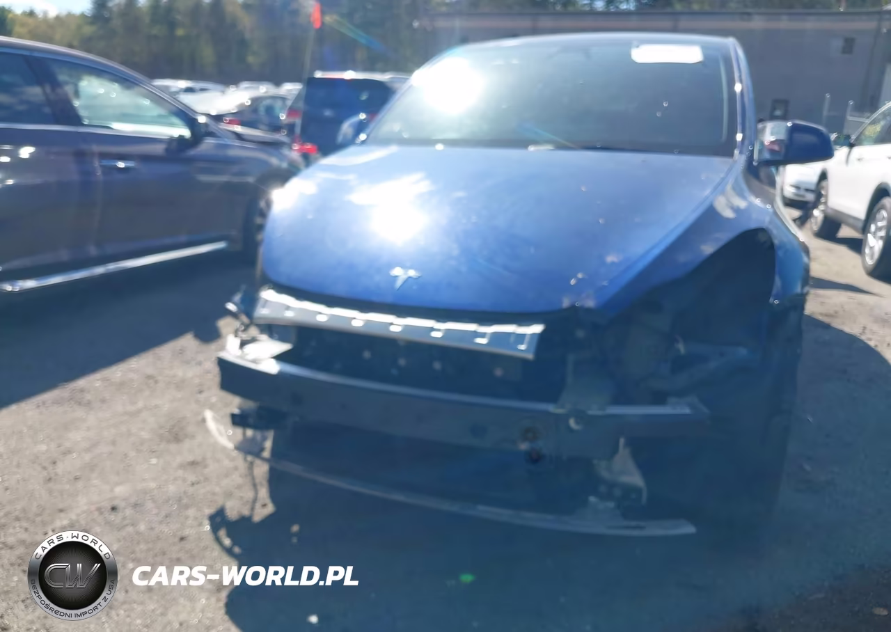 2025 Tesla Model Y Long Range Dual Motor All-Wheel Drive VIN:7SAYGDEE0SF293545 - 6