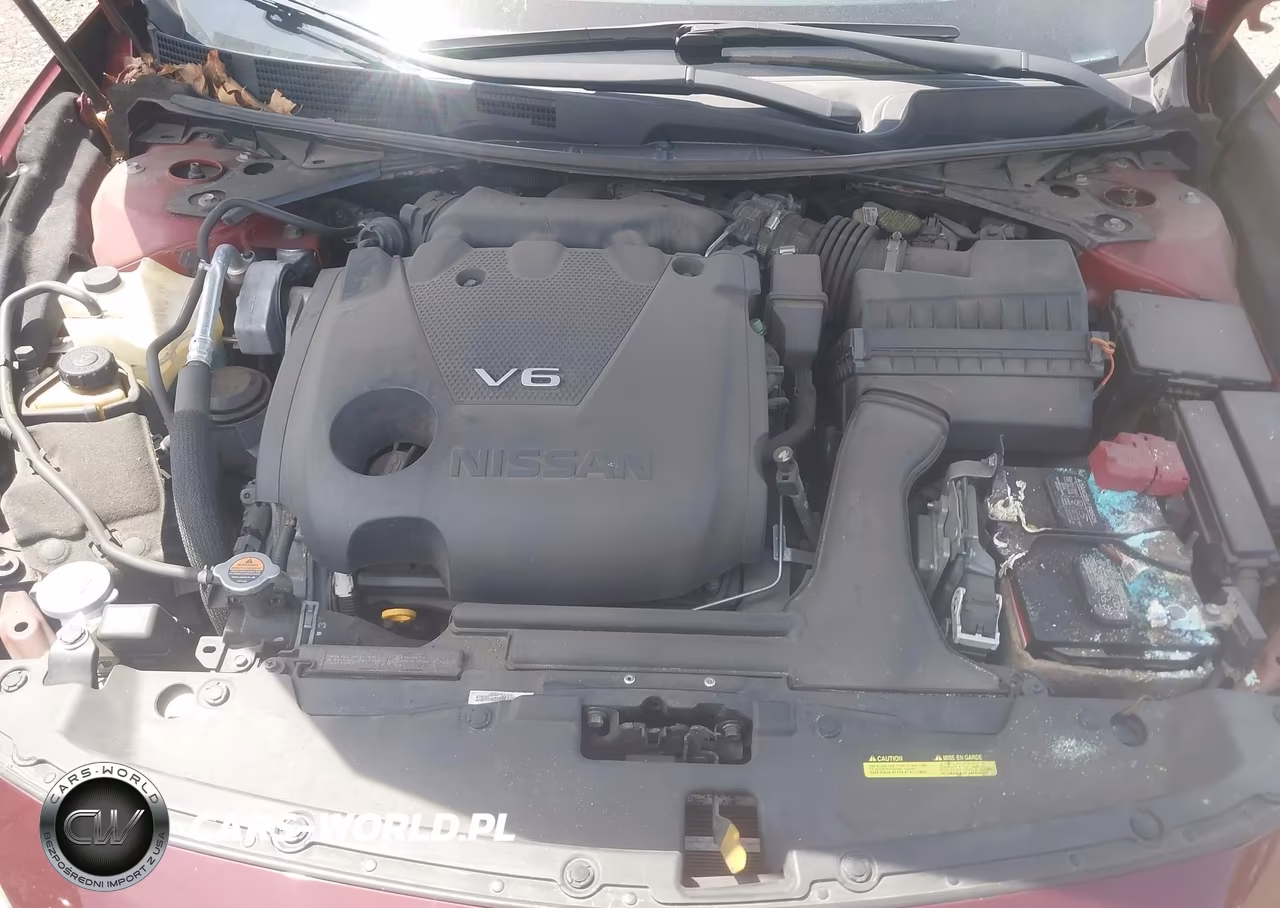 2017 Nissan Maxima 3.5 Platinum VIN:1N4AA6AP3HC401820 - 10